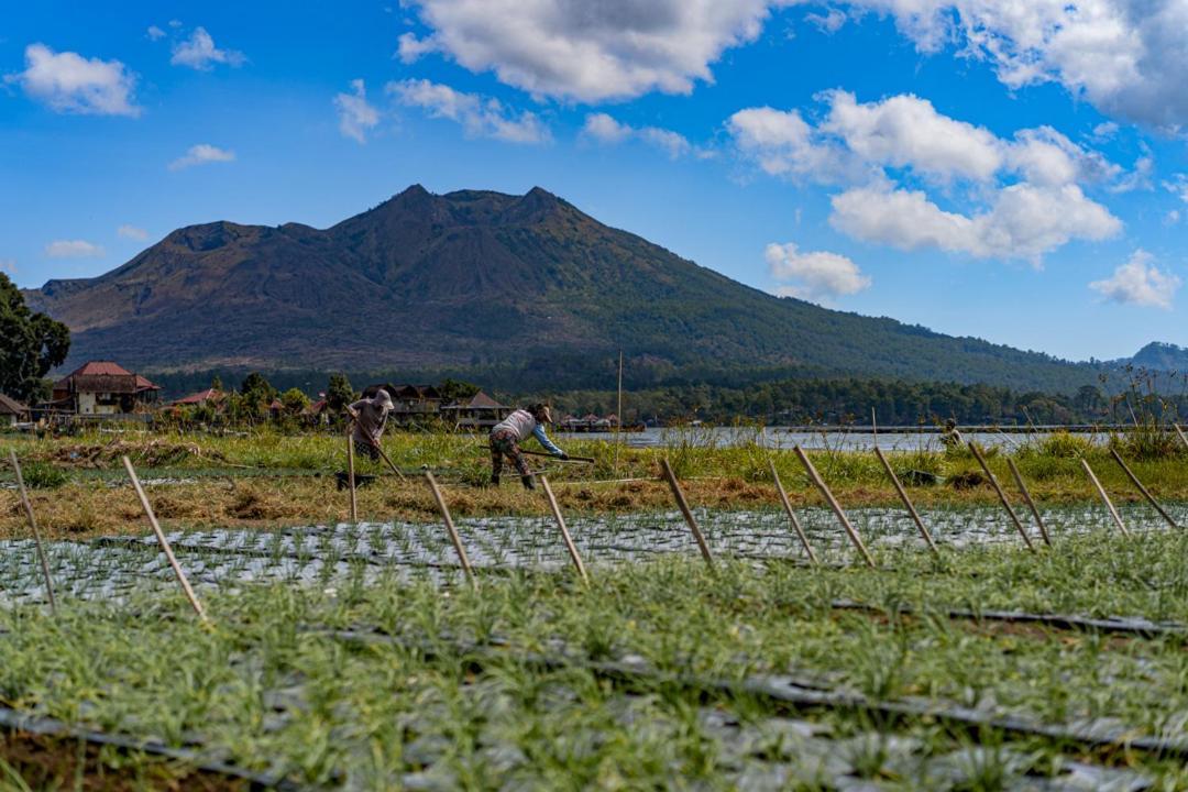 Pondok Manoka Kintamani  Bagian luar foto
