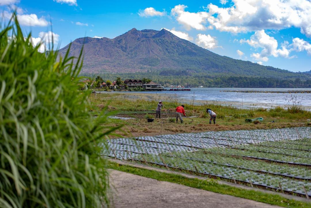 Pondok Manoka Kintamani  Bagian luar foto