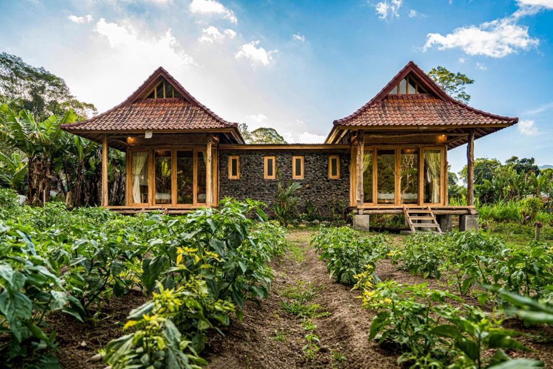 Pondok Manoka Kintamani  Bagian luar foto