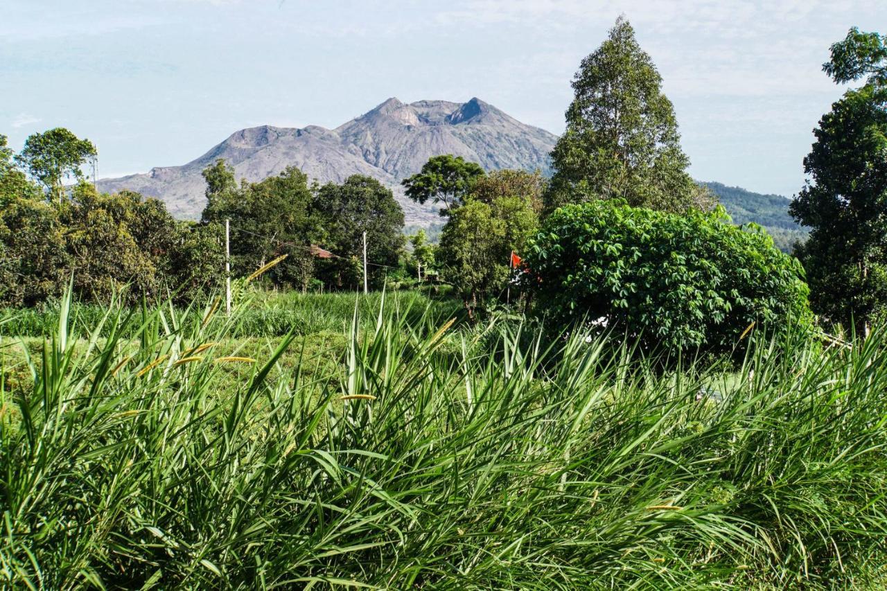 Pondok Manoka Kintamani  Bagian luar foto